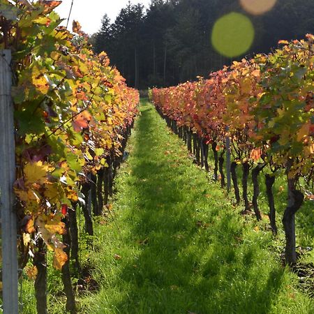 Апартаменты Ferienweingut Gansen / Hochgenuss 1 Эрнст Экстерьер фото