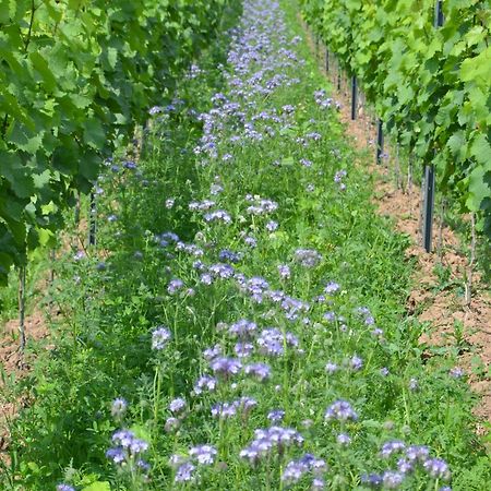 Апартаменты Ferienweingut Gansen / Hochgenuss 1 Эрнст Экстерьер фото