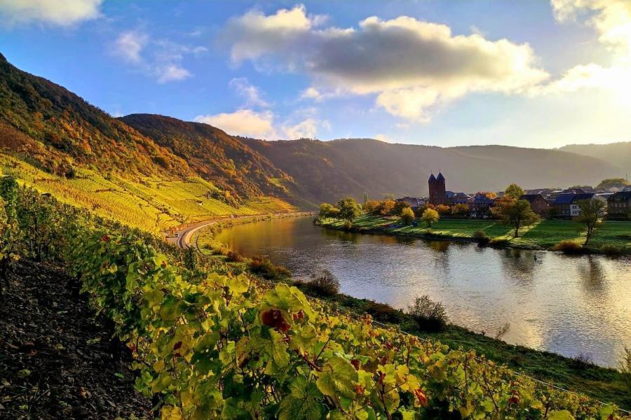 Апартаменты Ferienweingut Gansen / Hochgenuss 1 Эрнст Экстерьер фото