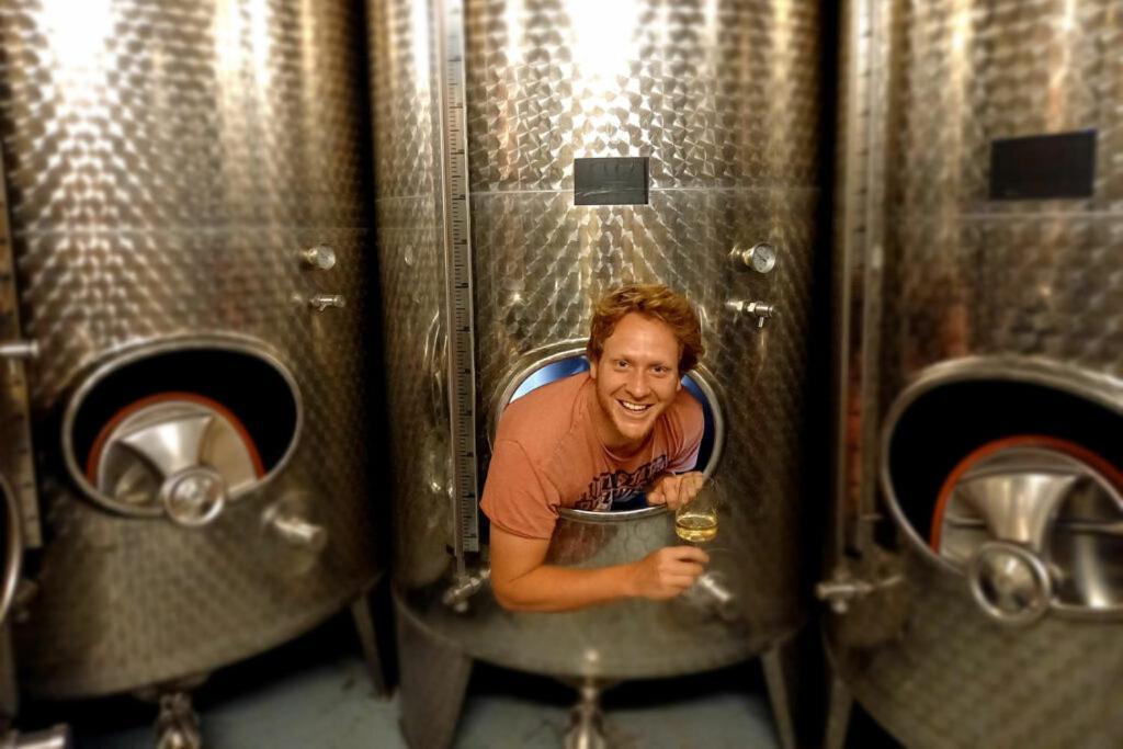 Апартаменты Ferienweingut Gansen / Hochgenuss 1 Эрнст Экстерьер фото