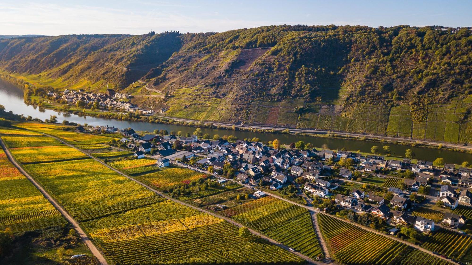 Апартаменты Ferienweingut Gansen / Hochgenuss 1 Эрнст Экстерьер фото